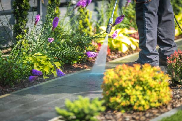 Best Fence Cleaning  in Crosby, MN