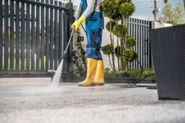 Best Sidewalk and Walkway Cleaning  in Crosby, MN
